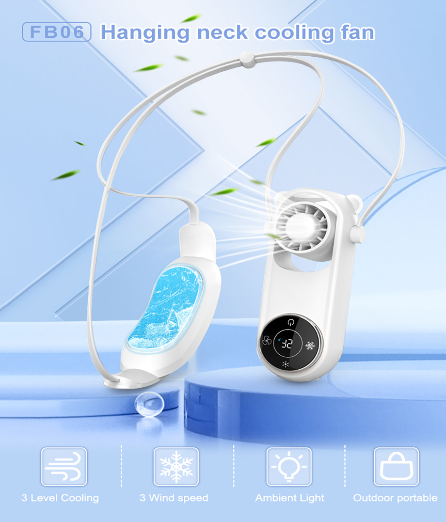 FB06 (1)
